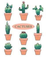conjunto de cactus, suculentas y plantas de interior. ilustración vectorial al estilo de piso. vector