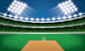Cricket Stadium with Neon Lights. Arena. vector