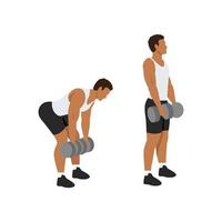 Man doing Dumbbell stiff leg deadlift exercise. Flat vector illustration isolated on white background