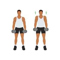 Man doing Dumbbell shrugs front view exercise. Flat vector illustration isolated on white background