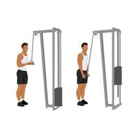 Man doing Triceps presdown  exercise. Flat vector illustration isolated on white background