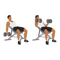 Man doing incline dumbbell curl. Flat vector illustration isolated on different layers. Workout character