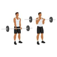Man doing ez barbell curl. Flat vector illustration isolated on different layers. Workout character