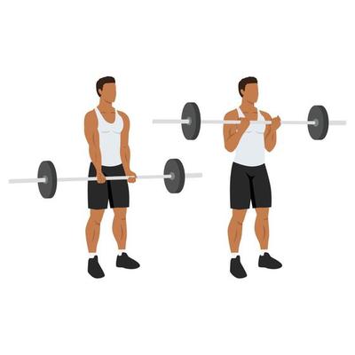Man doing ez barbell curl. Flat vector illustration isolated on different layers. Workout character 15708477 Vector Art at Vecteezy