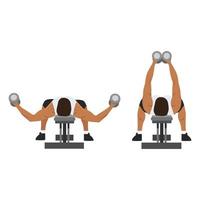 Man doing Flat bench dumbbell fly exercise. top view. Flat vector illustration isolated on white background