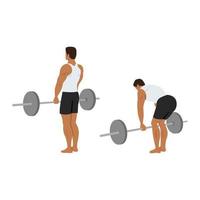 Man doing barbell stiff leg deadlift exercise. Flat vector illustration isolated on white background