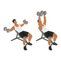 Man doing Incline dumbbell fly exercise. Flat vector illustration isolated on white background