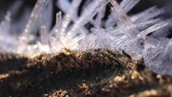 frost trä med frostig kristaller makro närbild bakgrund sömlös slinga video