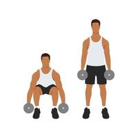 Man doing Dumbbell deadlift exercise. Flat vector illustration isolated on white background