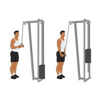 Man doing Triceps presdown  exercise. Flat vector illustration isolated on white background