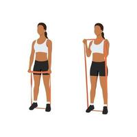 Woman doing Hammer grip curls with long resistance band exercise. Flat vector illustration isolated on white background