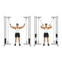 Man doing Standing high pulley cable curl. flat vector illustration isolated on different layers. Workout character