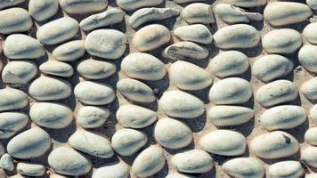 Stones pattern background seamless loop. Lot of white masonry cladding pebble texture. video