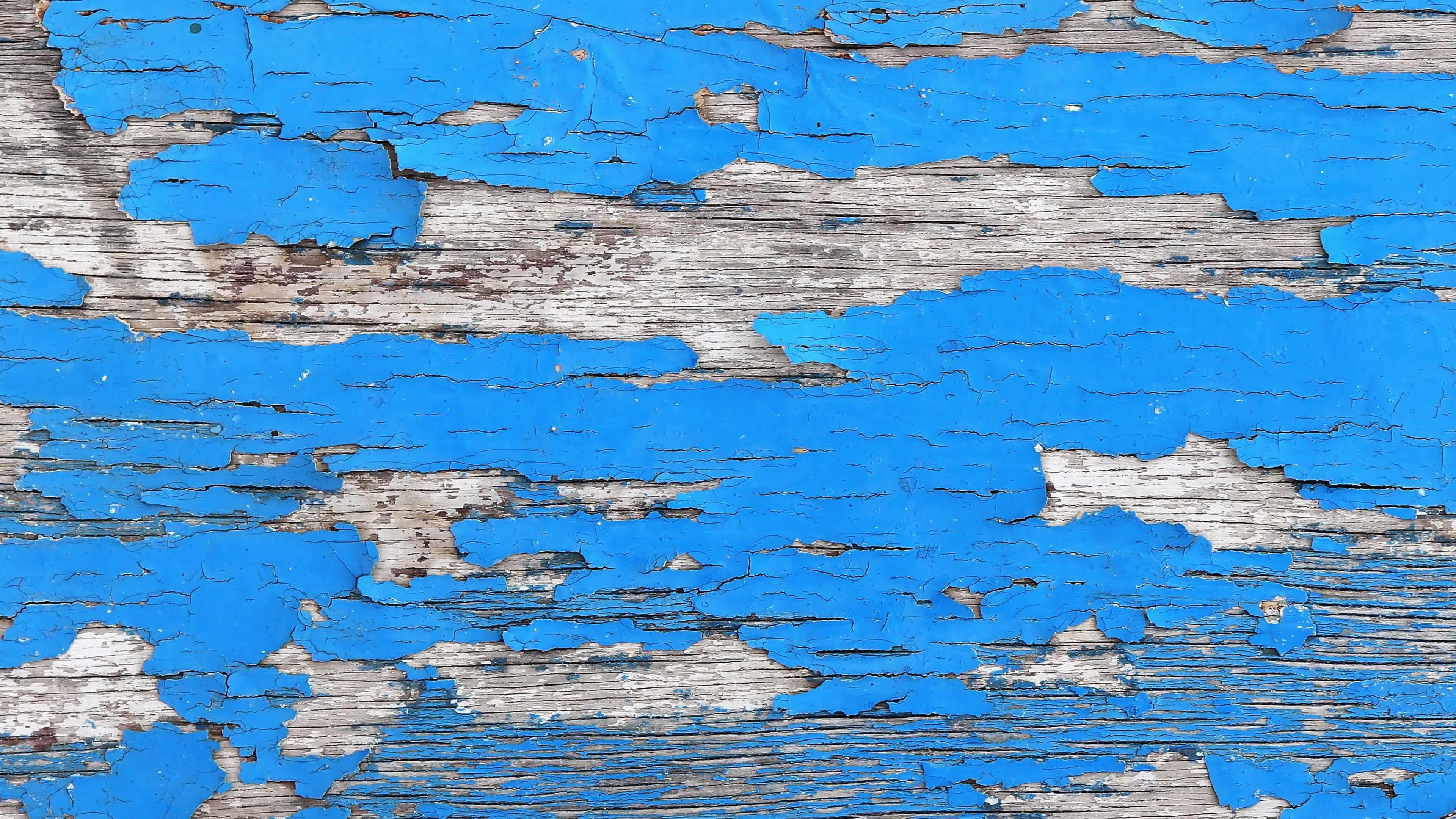 Blue painted wood texture seamless loop. Weathered paint wooden board