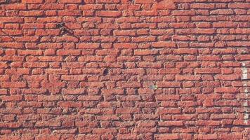 Red bricks wall texture Seamless Loop. Concrete blocks wall background. video