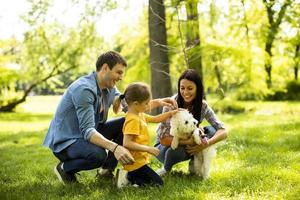 Beautiful happy family is having fun with bichon dog outdoors photo