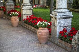 Garden at Taormina, Italy photo