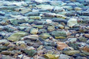 piedras en agua de mar foto