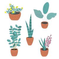 Set of home plants in ceramic pots. Vector illustration in hand drawn style. Yellow and pink flowers, hearts and leaves in pastel colors.