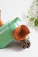green belt bag made of eco-leather on a snag, vegan leather from mushroom mycelium concept photo
