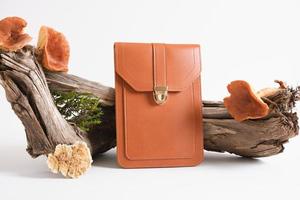 brown bag and mushrooms on driftwood, gray background, eco leather from mushroom mycelium photo