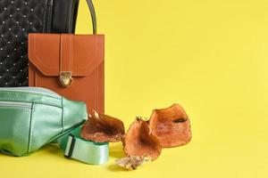 brown, black and green eco leather bags and mushrooms on a yellow background, vegan leather photo