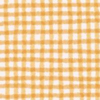 Watercolor Doodle Gingham Backgrounds photo