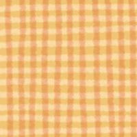 Watercolor Doodle Gingham Backgrounds photo