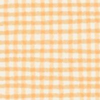 Watercolor Doodle Gingham Backgrounds photo