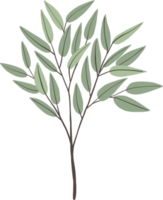 enkelhet eukalyptus blad freehand teckning. png