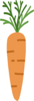 doodle freehand sketch drawing of carrot png