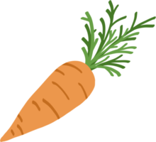 dibujo a mano alzada de fideos de zanahoria png