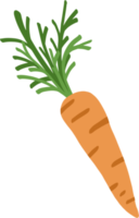 doodle freehand sketch drawing of carrot png