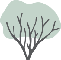 simplicity tree freehand drawing flat design. png