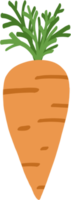 scarabocchio a mano libera schizzo disegno di carota png