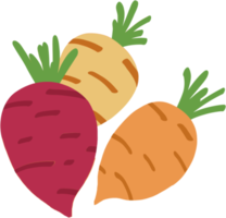 doodle freehand sketch drawing of carrot png