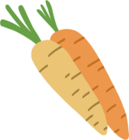 doodle freehand sketch drawing of carrot png