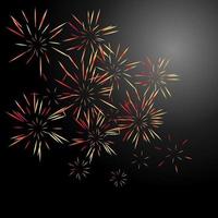 fireworks on the black background vector