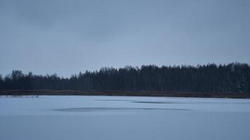 Frozen lake unstable end of autumn surrouded by forests in Lithuania video