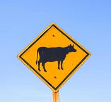 traffic sign with a cow symbol is an area where cows pass by. Drive, please take precautions for safety. Please drive slowly while traveling. photo