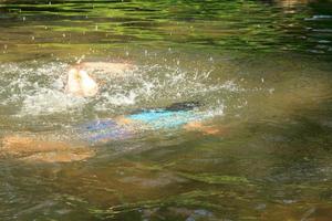 Girls and boys are having fun in the waterfall to cool off on a family weekend trip to Sai Yok Noi Waterfall, Kanchanaburi. photo