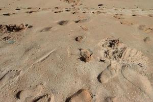 Footprints in the beautiful sand beach photo