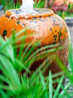 Cyperus Umbrella plant and the small fountain in ceramic jar photo