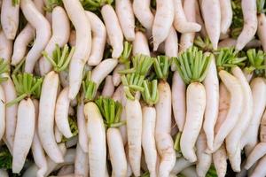 fresh radishes and vegetables photo