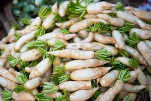 fresh radishes and vegetables photo