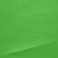 Green crumpled background paper texture. High quality background and copy space for text. photo