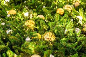 Many golden Christmas balls decorated the pine tree on the Christmas day. photo