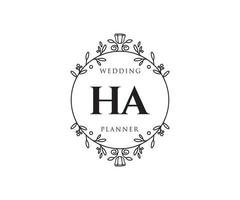 colección de logotipos de monograma de boda con letras iniciales ha, plantillas florales y minimalistas modernas dibujadas a mano para tarjetas de invitación, guardar la fecha, identidad elegante para restaurante, boutique, café en vector