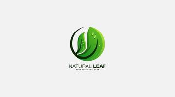 Natural leaf vector template logo design