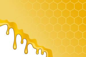 Honey melted vector background with honeycomb blend